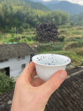 Load image into Gallery viewer, Daily Drinker Qimen