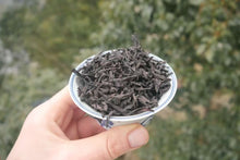 Load image into Gallery viewer, Coffee Liqueur Shui Xian (Bitsy)