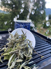 Load image into Gallery viewer, Wu Family Bai Mu Dan