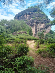 My Biggest Lesson in Wuyi: I Know Nothing