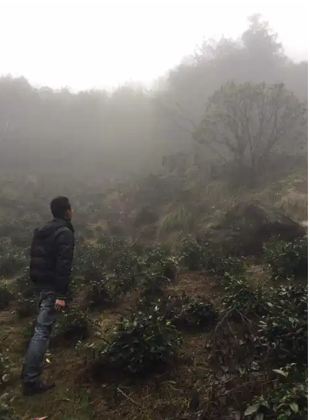 Reflecting on Huang Shan