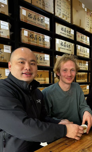 Tale of Two Tea Shops: Part Two