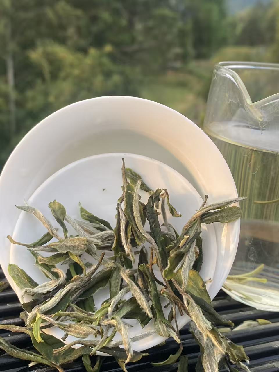 Fu Ding Tea – The Sweetest Dew