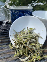 Load image into Gallery viewer, Pan Xi Single Plot Silver Needle
