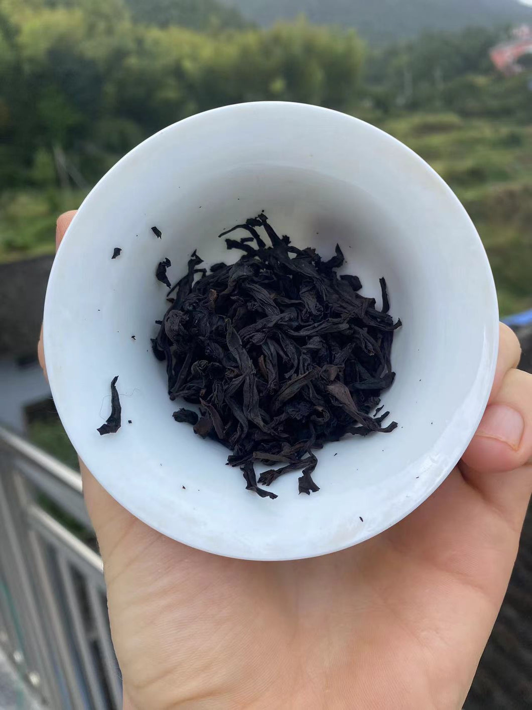 2023 Full Roast Shui Xian