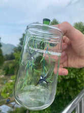 Load image into Gallery viewer, Birds in the Willow Tea Cup
