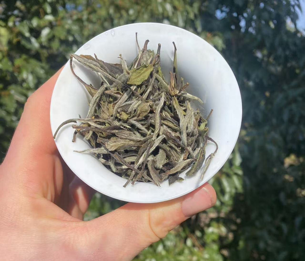 Sunshine Dried 2018 Bai Mu Dan.