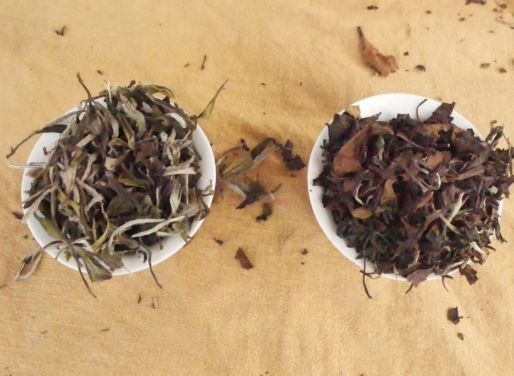 Aged Tea Side by Side