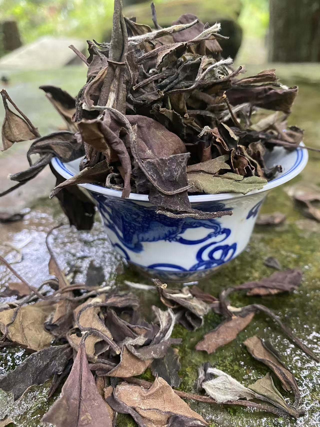 White Tea – The Sweetest Dew