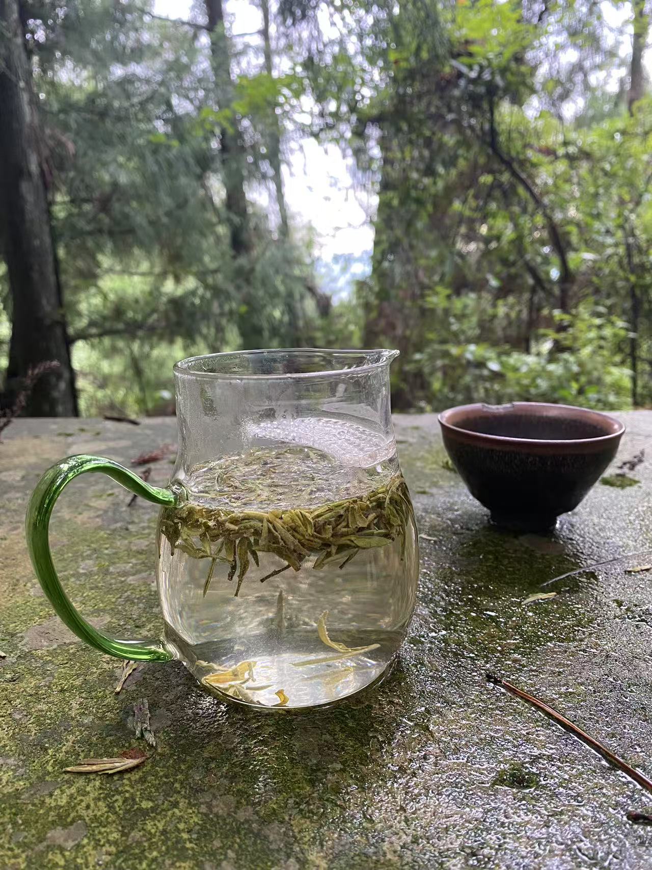Highly sought after Chinese tea – The Sweetest Dew