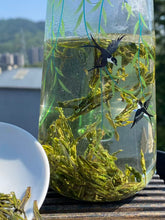 Load image into Gallery viewer, Birds in the Willow Tea Cup
