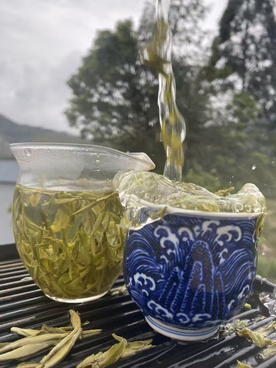 Highly sought after Chinese tea – The Sweetest Dew