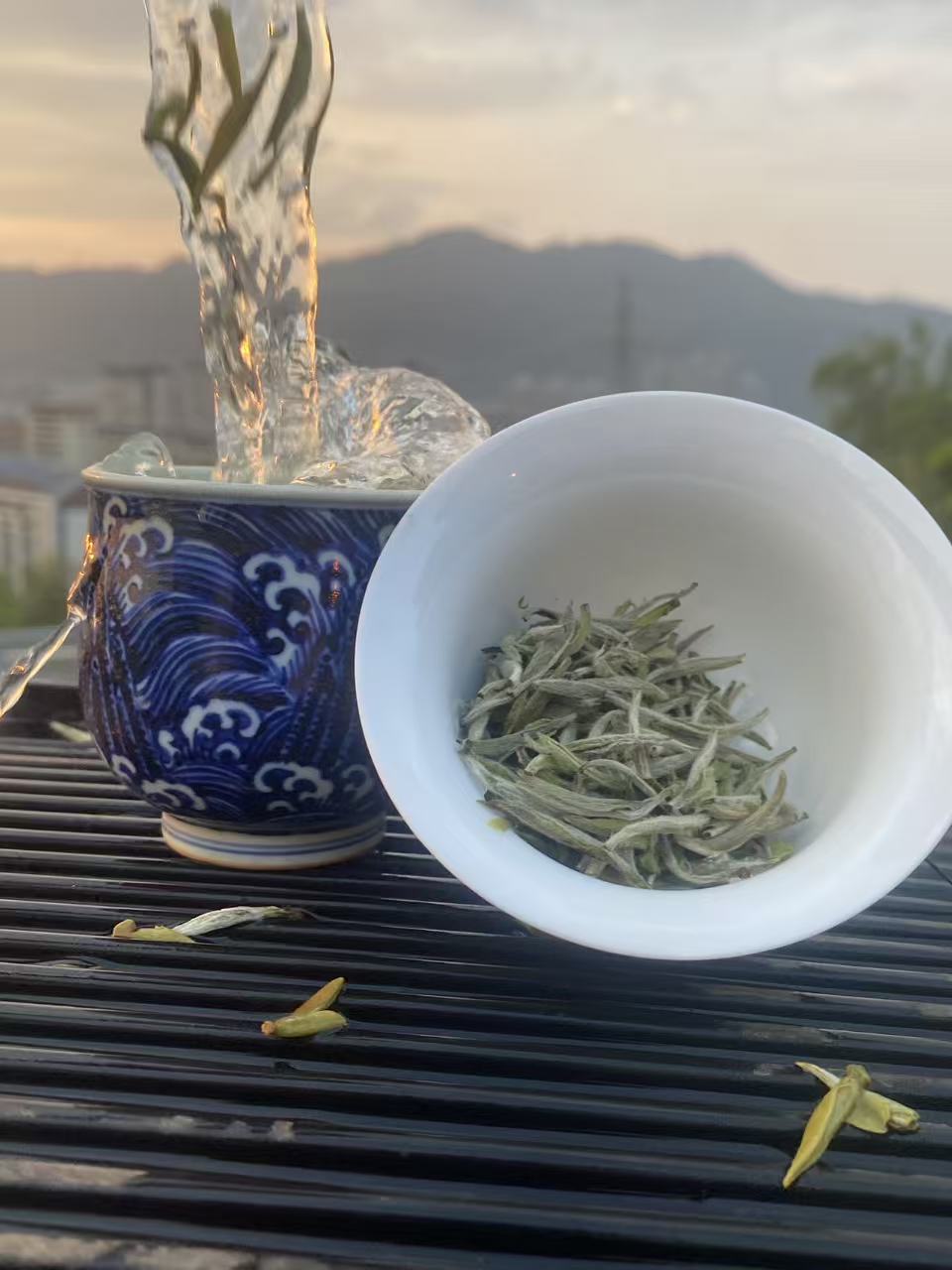 春芽甘露白茶 (Sweet Dew White Tea) Fu Ding Tea – The Sweetest Dew