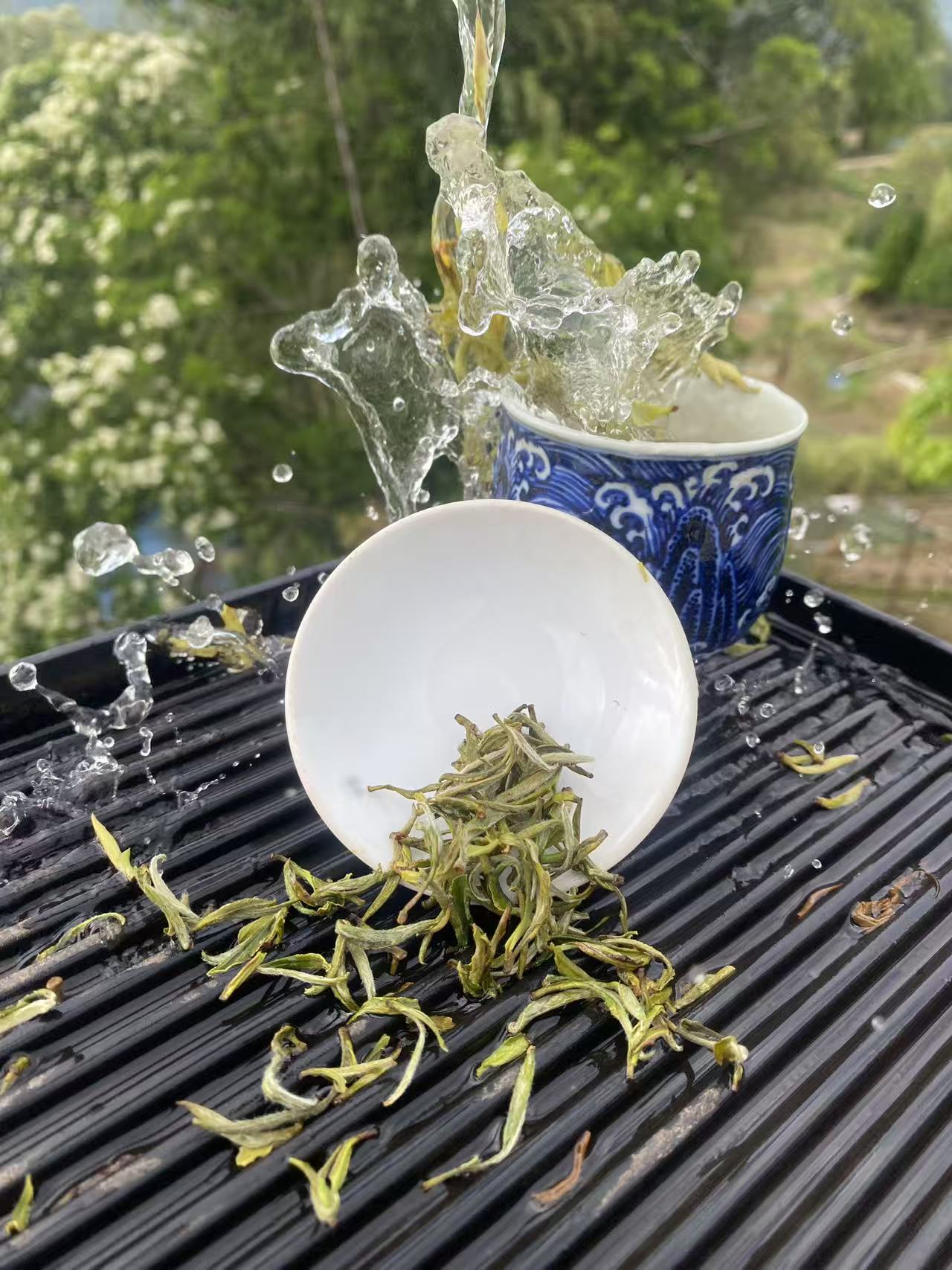 春芽甘露白茶 (Sweet Dew White Tea) Highly sought after Chinese tea – The Sweetest Dew