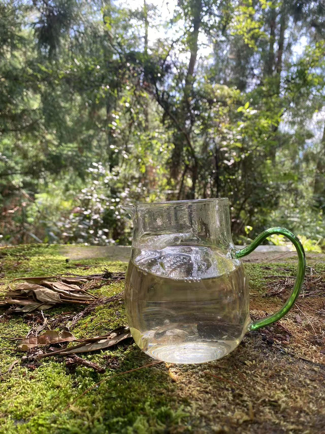 Early Spring Bai Mu Dan